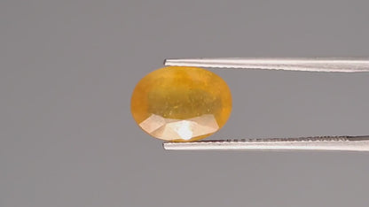 Yellow Sapphire - 4.53 Carats (Pukhraj - 4.94 Ratti)