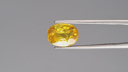 Yellow Sapphire - 4.36 Carats (Pukhraj - 4.75 Ratti)
