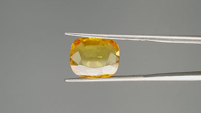 Yellow Sapphire (Pukhraj) - 5.56 Carats
