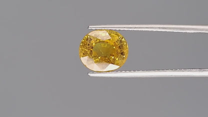 Yellow Sapphire - 4.05 Carats (Pukhraj - 4.41 Ratti)