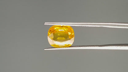 Yellow Sapphire - 4.05 Carats (Pukhraj - 4.41 Ratti)