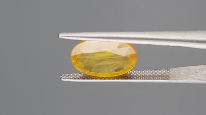Yellow Sapphire - 4.93 Carats (Pukhraj - 5.37 Ratti)