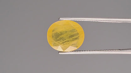 Yellow Sapphire - 5.64 Carats (Pukhraj - 6.15 Ratti)