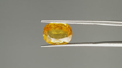 Yellow Sapphire - 5.01 Carats (Pukhraj - 5.46 Ratti)