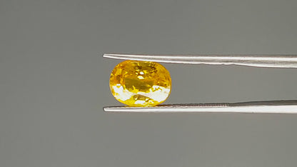 Yellow Sapphire - 4.48 Carats (Pukhraj - 4.88 Ratti)