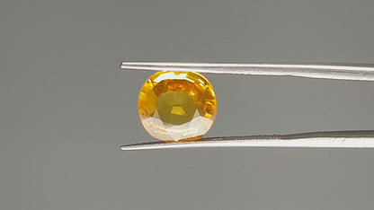 Yellow Sapphire - 3.67 Carats (Pukhraj - 4.00 Ratti)