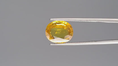 Yellow Sapphire - 5.05 Carats (Pukhraj - 5.50 Ratti)