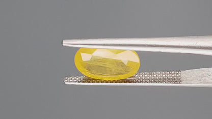 Yellow Sapphire - 3.81 Carats (Pukhraj - 4.15 Ratti)