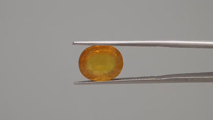 Yellow Sapphire - 5.06 Carats (Pukhraj - 5.52 Ratti)