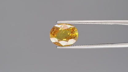 Yellow Sapphire - 4.03 Carats (Pukhraj - 4.39 Ratti)