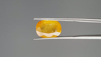 Yellow Sapphire - 7.47 Carats (Pukhraj - 8.14 Ratti)