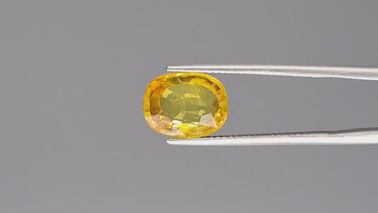 Yellow Sapphire (Pukhraj) - 4.29 Carats