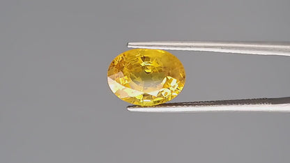 Yellow Sapphire - 4.60 Carats (Pukhraj - 5.01 Ratti)