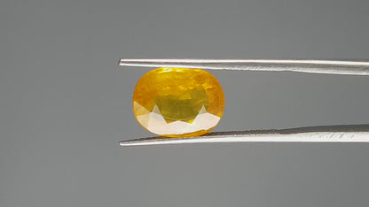 Yellow Sapphire - 5.79 Carats (Pukhraj - 6.31 Ratti)