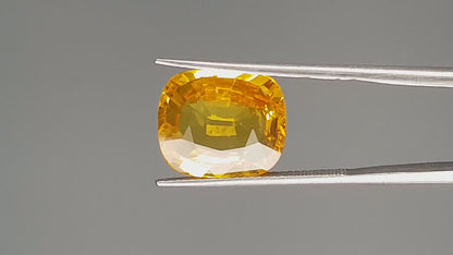 Yellow Sapphire - 9.25 Carats (Pukhraj - 10.08 Ratti)