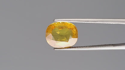 Yellow Sapphire - 4.54 Carats (Pukhraj - 4.95 Ratti)