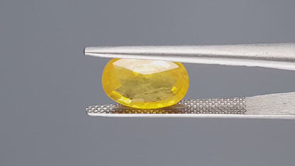 Yellow Sapphire - 4.59 Carats (Pukhraj - 5.00 Ratti)