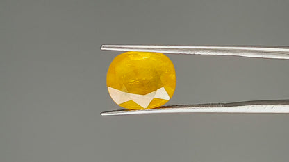 Yellow Sapphire - 7.02 Carats (Pukhraj - 7.65 Ratti)