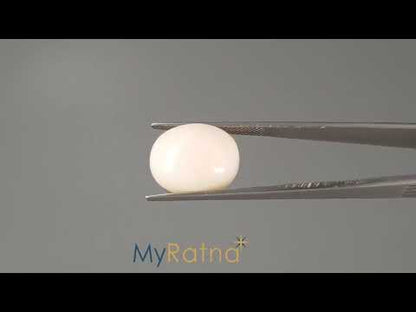 White Coral - 13.04 Carats