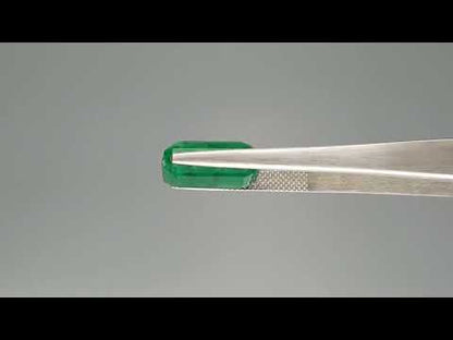 Emerald (Panna) - 8.97 Carats
