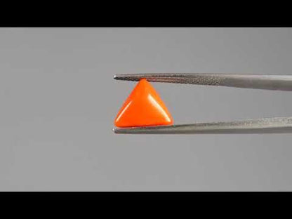 Red Coral - 2.60 Carats (Moonga - 2.83 Ratti)