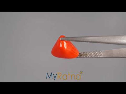 Red Coral (Moonga) - 8.75 Carats