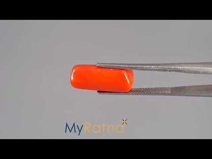 Red Coral (Moonga) - 8.58 Carats