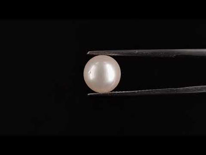 South Sea Pearl - 4.80 Carats (Moti - 5.23 Ratti)