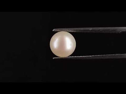 South Sea Pearl - 3.40 Carats (Moti - 3.71 Ratti)