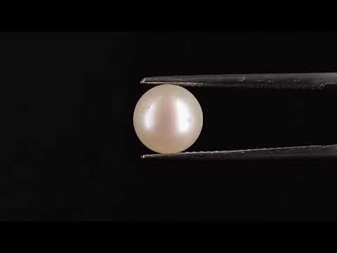 South Sea Pearl - 3.40 Carats (Moti - 3.71 Ratti)