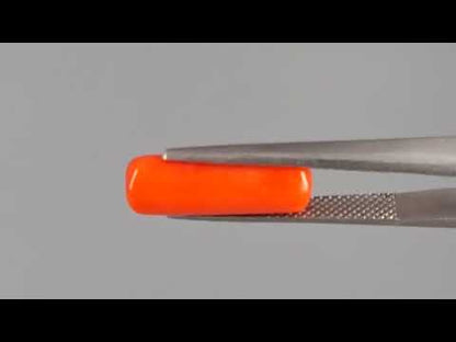 Red Coral (Moonga) - 4.54 Carats