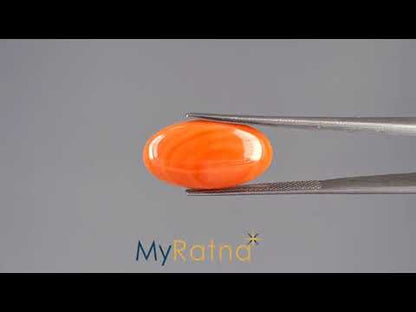Red Coral - 6.55 Carats (Moonga - 7.14 Ratti)