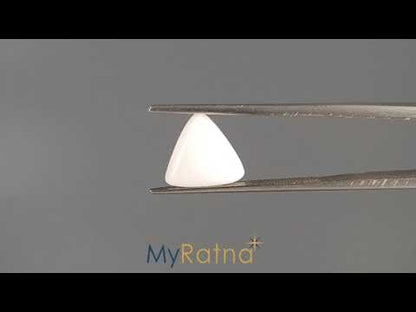 White Coral - 2.69 Carats