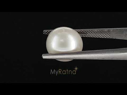 South Sea Pearl (Moti) - 8.78 Carats