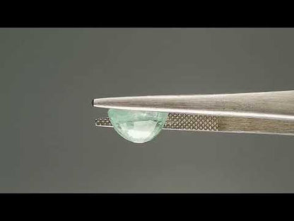 Emerald (Panna) - 3.08 Carats
