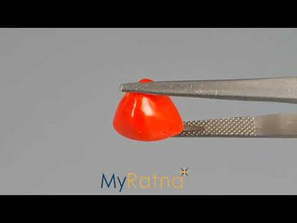 Red Coral (Moonga) - 6.11 Carats