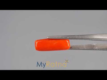 Red Coral (Moonga) - 9.25 Carats