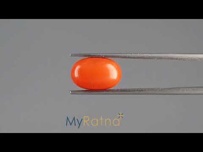 Red Coral (Moonga) - 4.08 Carats