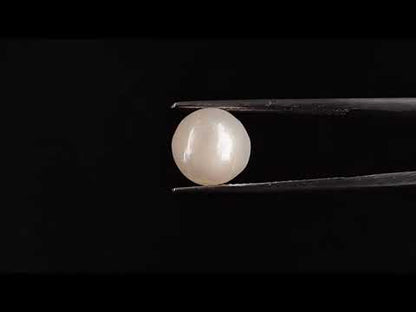 Keshi Pearl - 4.65 Carats (Moti - 5.07 Ratti)