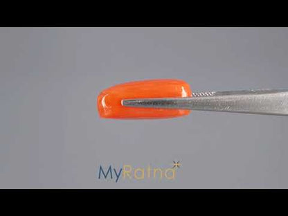 Red Coral (Moonga) - 18.28 Carats