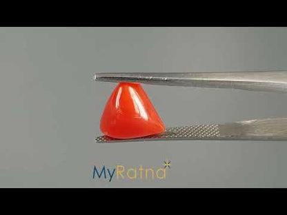 Red Coral (Moonga) - 5.03 Carats