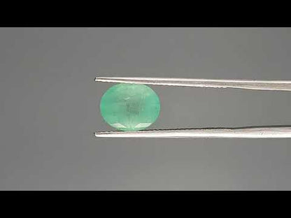 Emerald - 2.53 Carats (Panna - 2.76 Ratti)