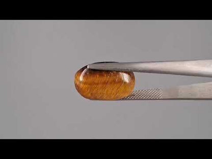 Tiger Eye - 9.43 Carats