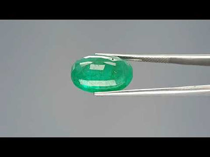 Emerald (Panna) - 9.71 Carats