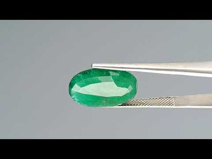 Emerald (Panna) - 8.64 Carats