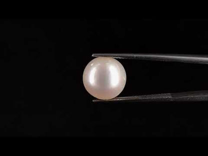 South Sea Pearl (Moti) - 10.28 Carats
