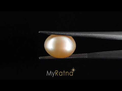 South Sea Pearl - 11.03 Carats (Moti - 12.02 Ratti)