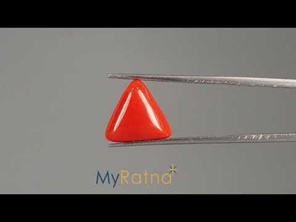 Red Coral (Moonga) - 5.60 Carats