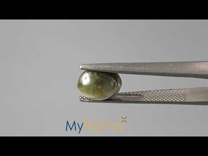 Cat's Eye - 3.01 Carats (Lahsuniya - 3.28 Ratti)