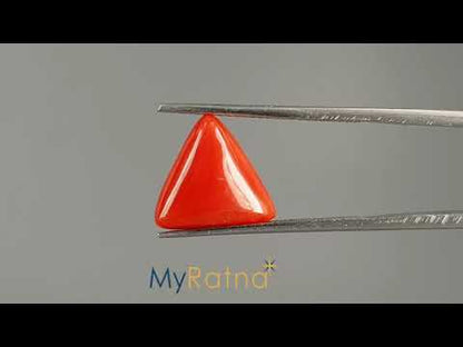 Red Coral (Moonga) - 5.11 Carats